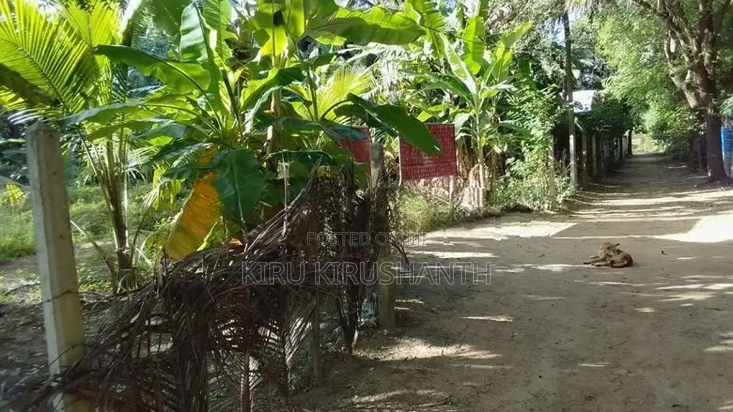 Land for Sale Kilinochchi
