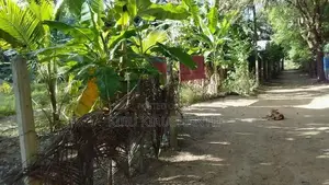 Land for Sale Kilinochchi