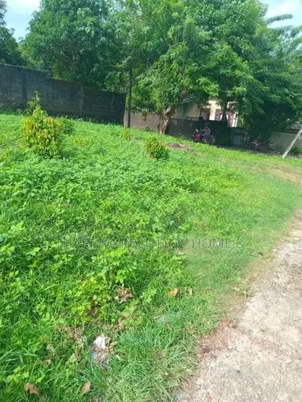 Land For Sale Piliyandala Gonamadiththa