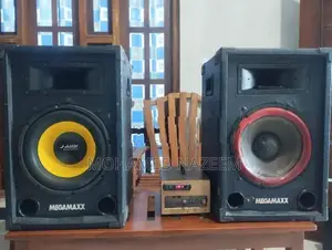 12-Inch MEGAMAXX Speaker Subwoofer Pair with Amplifier
