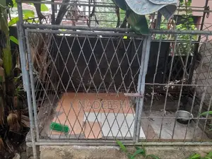 Dog Cage
