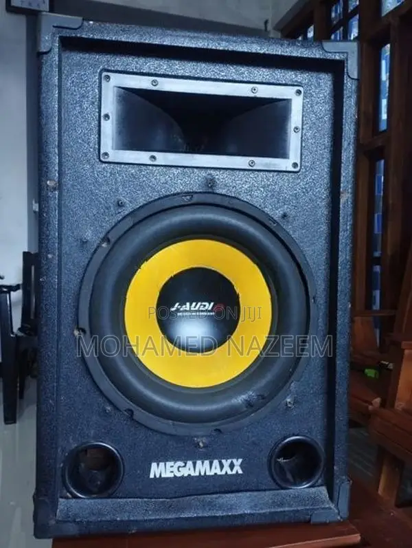 12-Inch MEGAMAXX Speaker Subwoofer Pair with Amplifier