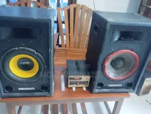 12-Inch MEGAMAXX Speaker Subwoofer Pair with Amplifier