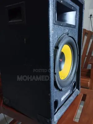 12-Inch MEGAMAXX Speaker Subwoofer Pair with Amplifier