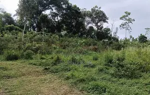 Land for Sale Galle