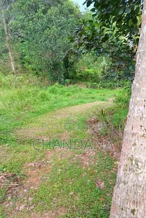 Land for Sale Galle