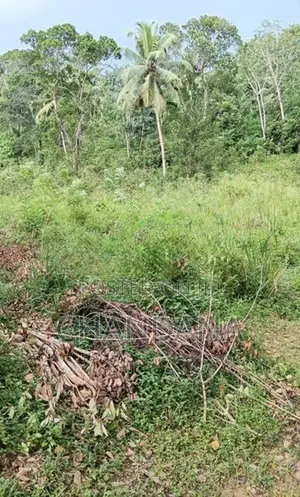 Land for Sale Galle