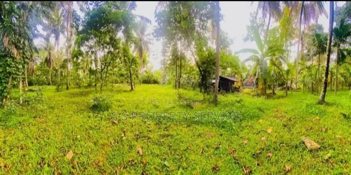 80 Perches Land for Sale in Veyangoda (SSPL-420)