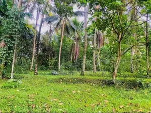80 Perches Land for Sale in Veyangoda (SSPL-420)