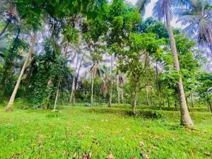 80 Perches Land for Sale in Veyangoda (SSPL-420)