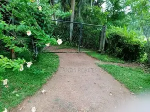 Singal story house for sale Divlapitya