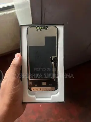 Apple iPhone 13 Pro Display (Used)