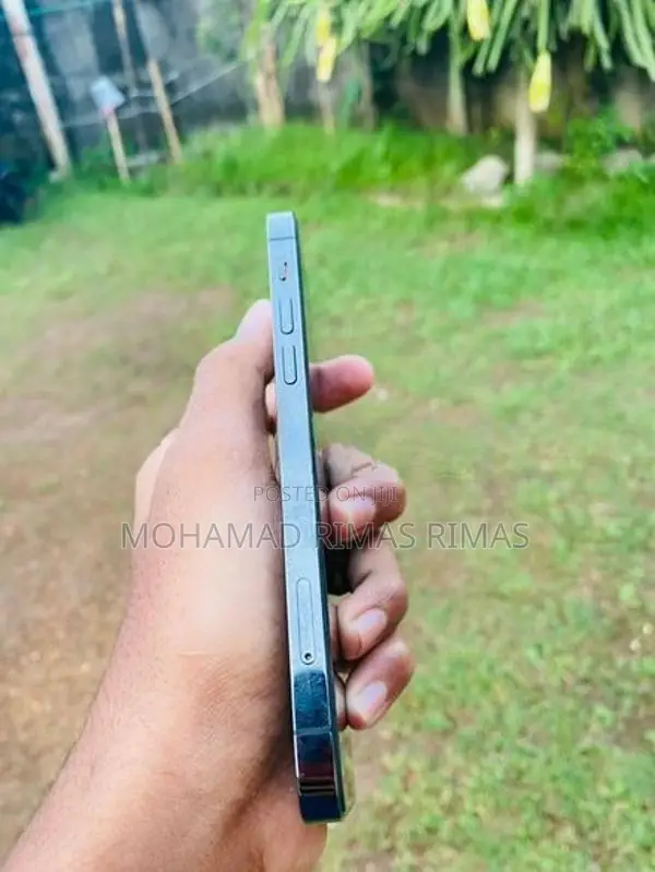 Apple iPhone 12 Pro 256GB (Used)