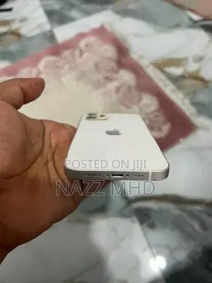 Apple iPhone 12 (Used)