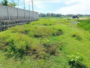 Land for Sale Kalmunai