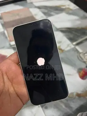 Apple iPhone 12 (Used)