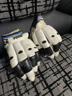 Cricket Set