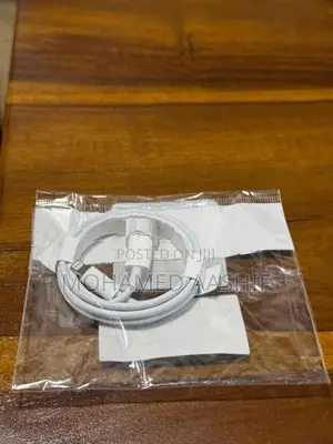 Apple iPhone Charger Cable