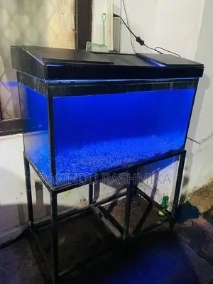 Fish Tank
