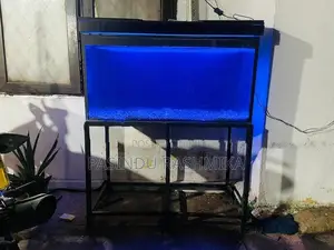 Fish Tank