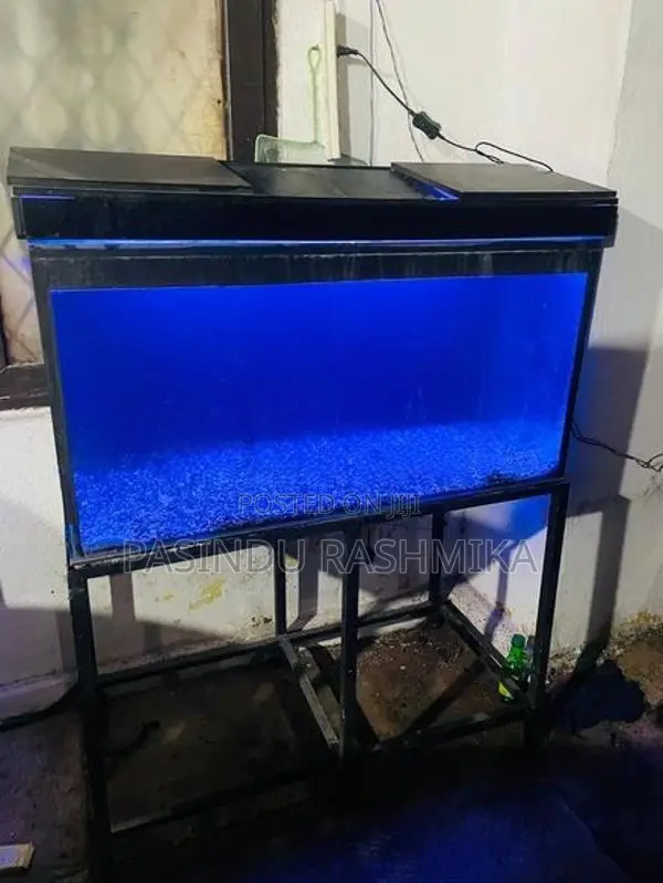 Fish Tank