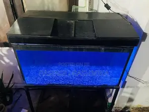 Fish Tank