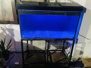 Fish Tank