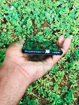 Apple iPhone SE 2 (Used)