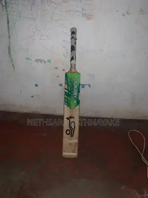 Kookaburra Bat