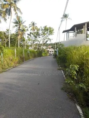 Valuable Land for Sale in Raddoluwa