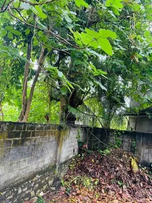 House For Sale | Rajagiriya 4 BR