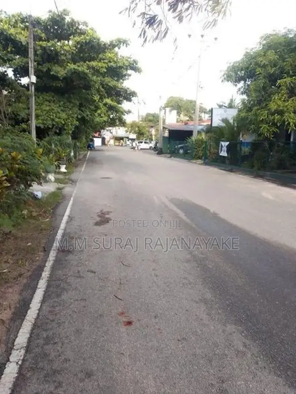 Valuable Land for Sale in Raddoluwa
