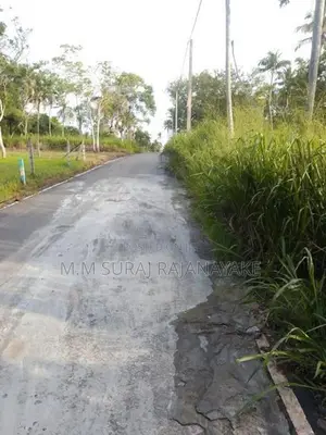 Valuable Land for Sale in Raddoluwa