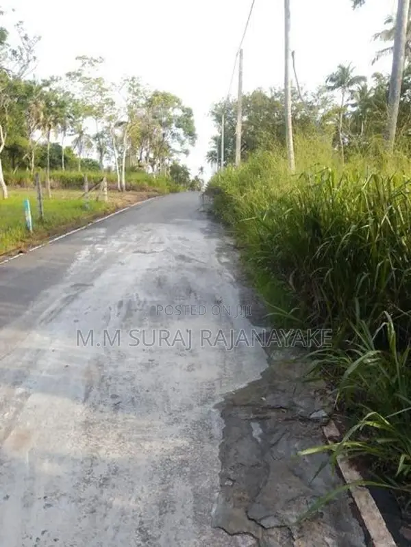 Valuable Land for Sale in Raddoluwa