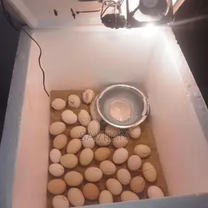 அடை வெய்க்ககூடிய இயந்திரம்