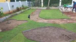 Australian Grass