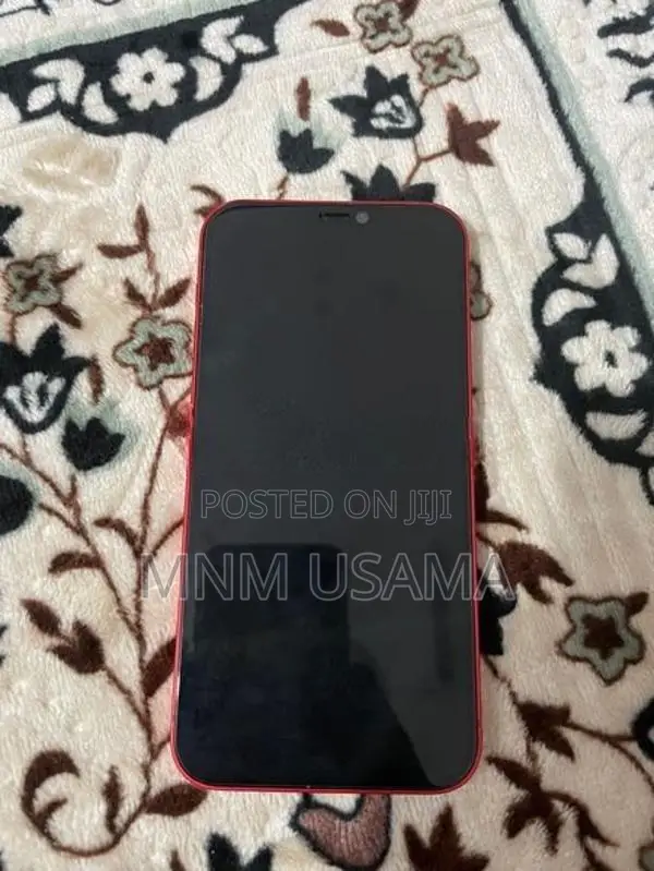 Apple iPhone 12 (Used)