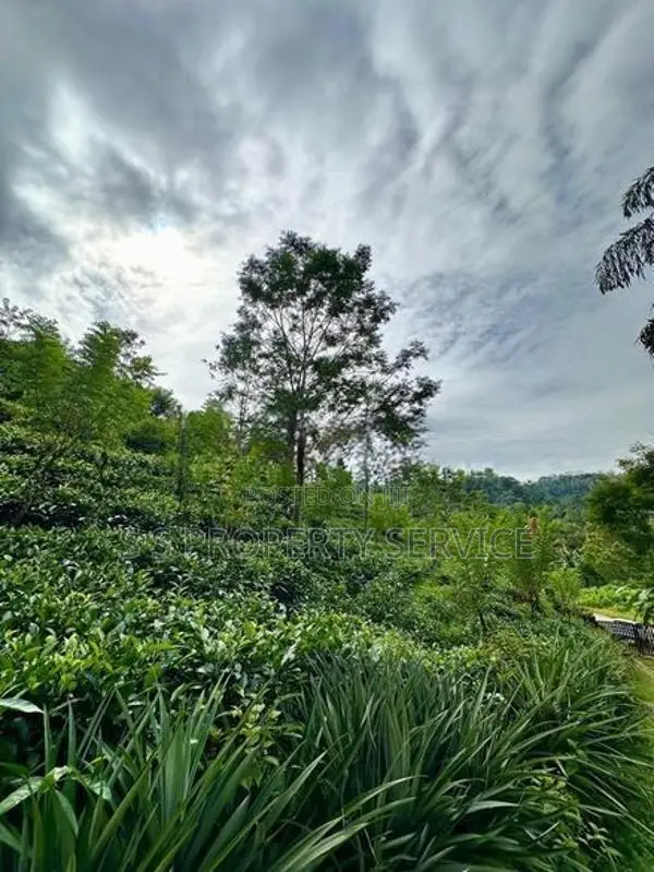 21 acres Land For Sale in Deniyaya (SSPL-303)