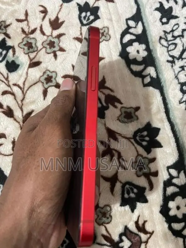 Apple iPhone 12 (Used)