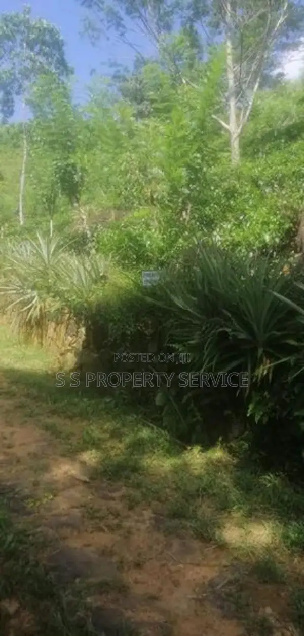 21 acres Land For Sale in Deniyaya (SSPL-303)