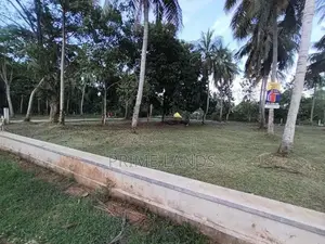 අනුරාධපුර මිහින්තලා ප්‍රධාන බස් පාරට නුදුරින් බිම්කොටස්