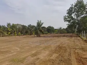 නාච්චාදූව ඉඩමක්
