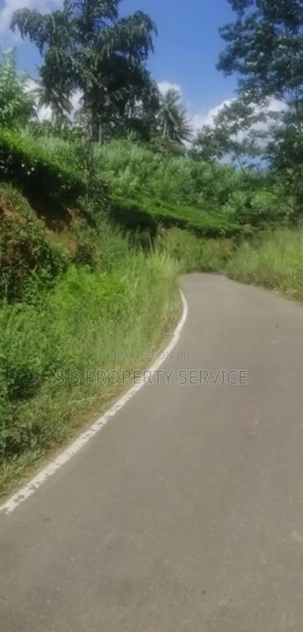 21 acres Land For Sale in Deniyaya (SSPL-303)