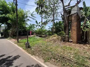 22.50 P Commercial Bare Land for Sale in Divulapitiya