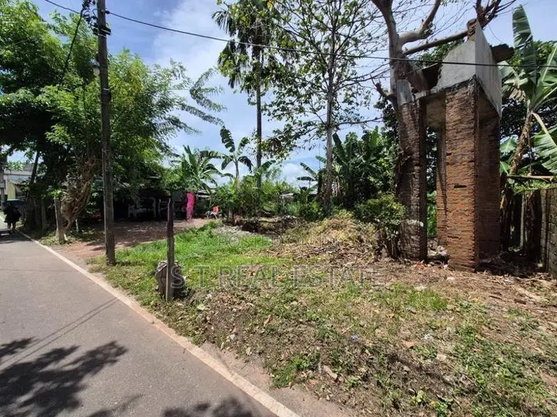 22.50 P Commercial Bare Land for Sale in Divulapitiya