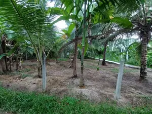 Land for sale - Veyangoda