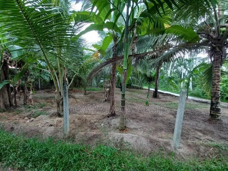 Land for sale - Veyangoda