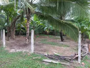 Land for sale - Veyangoda