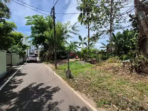22.50 P Commercial Bare Land for Sale in Divulapitiya