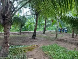 Land for sale - Veyangoda